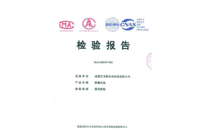 65AH电池检测报告